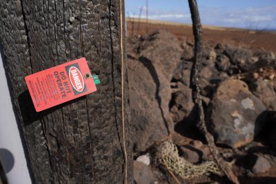 US House Sets First Hearing On HECO’s Role In Deadly Wildfires