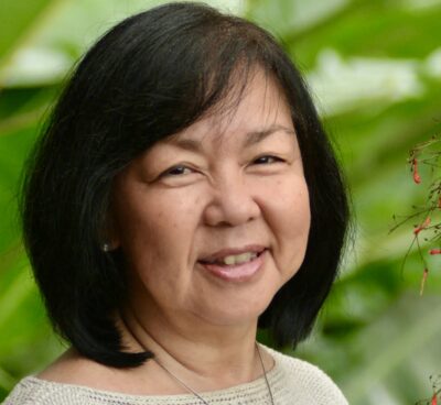 Maui Council Candidate Wants State Supreme Court To Void Election
