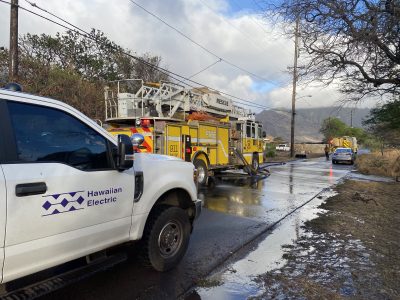 HECO: Wildfire Risk Already Cut By More Than Half Across Hawaii Grid